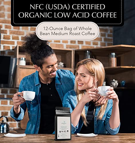 Lifeboost Coffee Whole Bean Hazelnut Coffee - Low Acid Single Origin Non-GMO Organic Coffee Beans - Third Party Tested For Mycotoxins & Pesticides - 12 Ounces