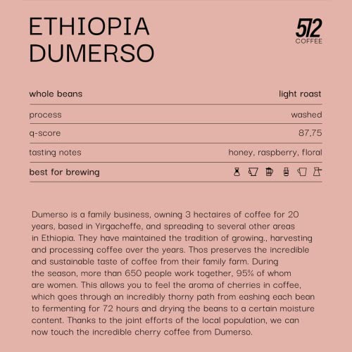 Ethiopian Yirgacheffe Specialty Whole Coffee Beans