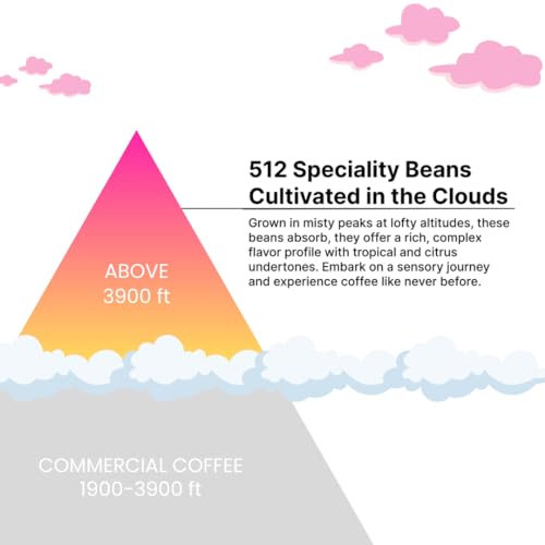 Ethiopian Yirgacheffe Specialty Whole Coffee Beans