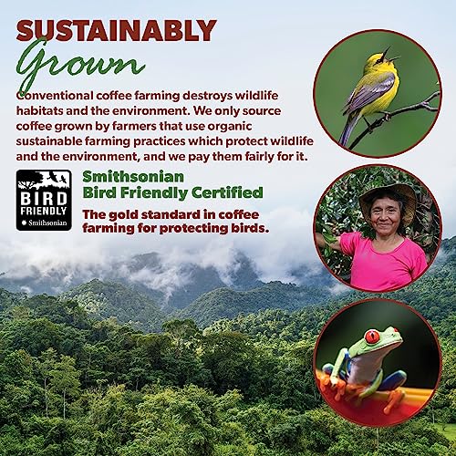 Organic Colombian Low Acid Coffee: Medium Roast, Whole Bean