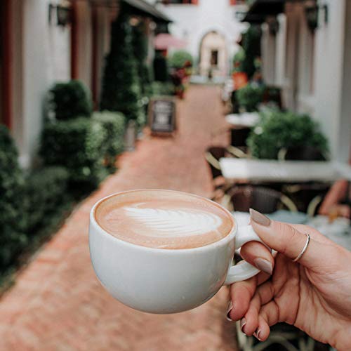 Barnie's Café Mocha Truffle Ground Coffee, Decadent and Rich Chocolate Flavor, Medium Roasted Arabica Coffee Beans, Sugar Free and Nut Free, 12 oz Bag (Pack of 2)