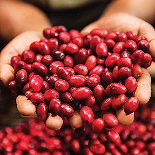 Green Mountain Coffee Roasters Wild Mountain Blueberry, Ground Coffee, Flavored Light Roast, Bagged 12 Oz, 1 Count