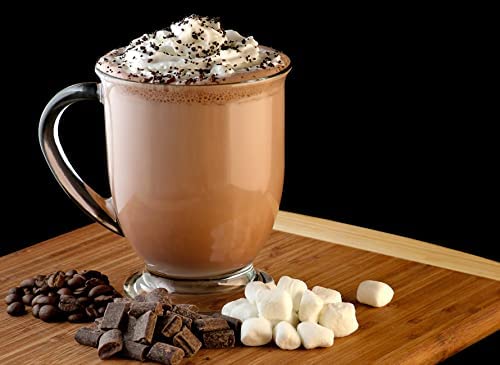 Fresh Roasted Chocolate Mocha Flavored Coffee | Arabica Coffee lnfused with Cafe Mocha Flavor | Kosher, Sugar Free, Light Roast | 10 oz Ground