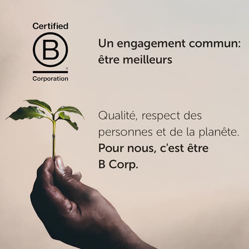 illy Nespresso Capsules 100 Count Espresso Pods, Classico Medium Roast Coffee, Compatible with OriginalLine Nespresso Espresso Machines