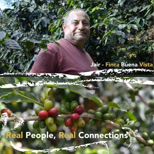 Colombian Medium Roast Gourmet Coffee, 12 oz Bag