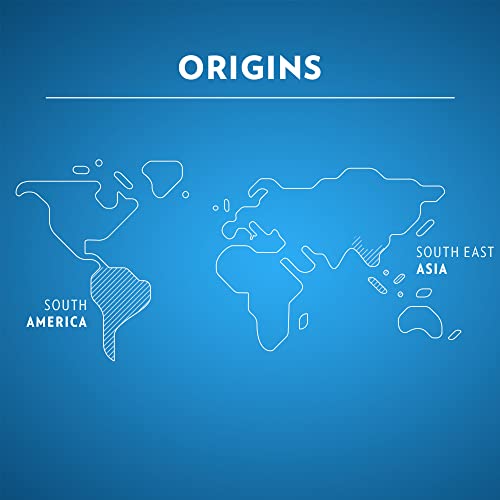 Lavazza Espresso Decaffeinated Dek Medium Roast Arabica & Robusta Aluminum Capsules Compatible with Nespresso Original Machines ,Value Pack, Round and well-balanced, Intensity 7 of 13, 10 Count (Pack of 6)