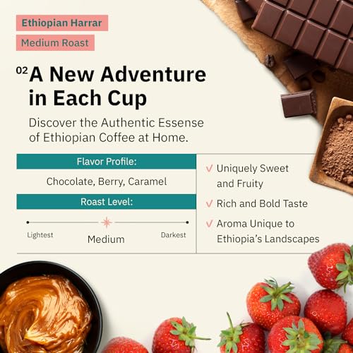 Organic Ethiopian Medium Roast Whole Bean Coffee, 12oz