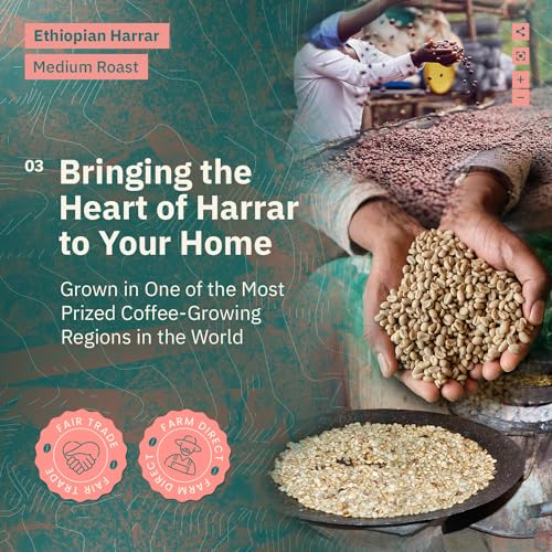 Organic Ethiopian Medium Roast Whole Bean Coffee, 12oz