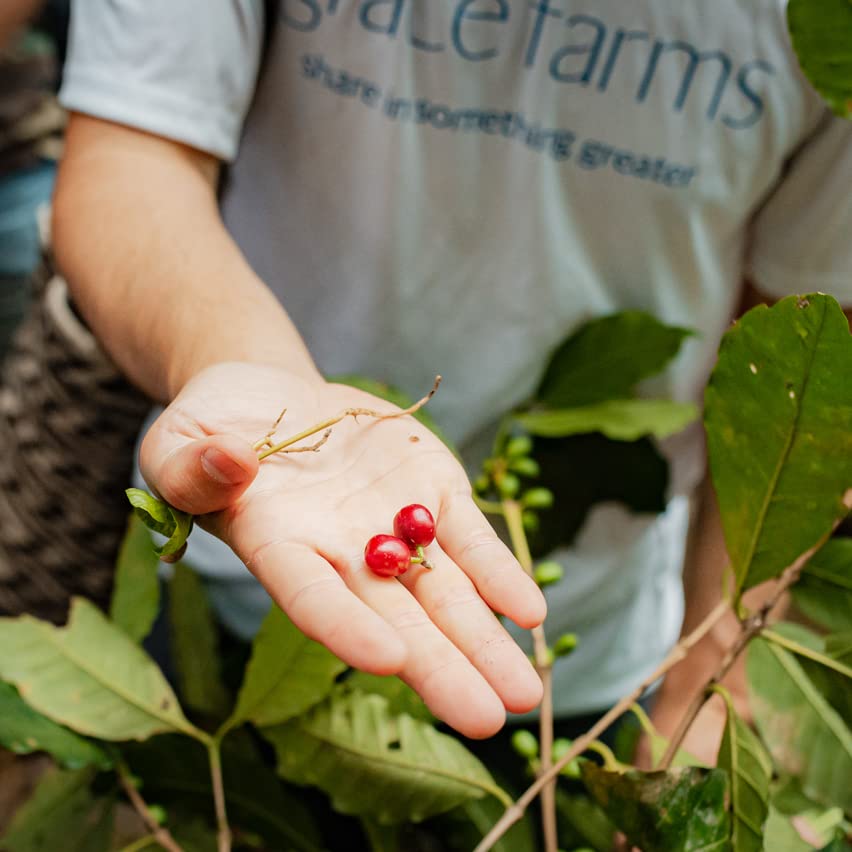 Grace Farms Organic Colombian Single Origin Light Roast 12oz