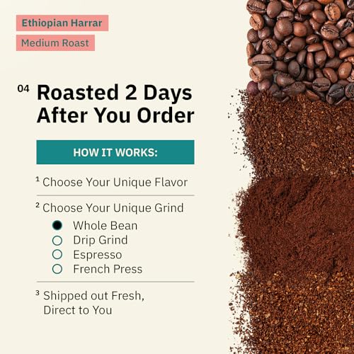 Organic Ethiopian Medium Roast Whole Bean Coffee, 12oz