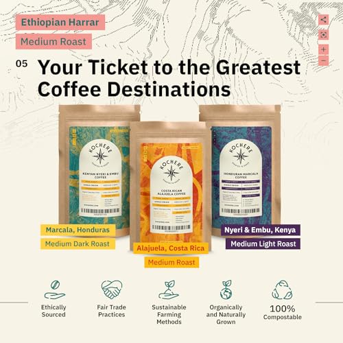 Organic Ethiopian Medium Roast Whole Bean Coffee, 12oz