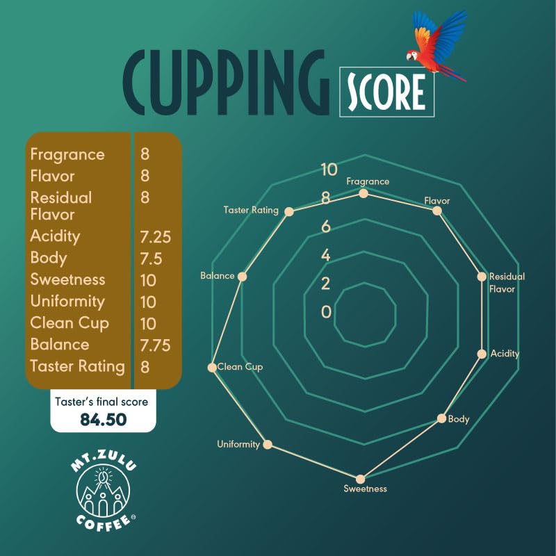 Mt. Zulu Colombian Medium Roast Whole Beans - 12oz