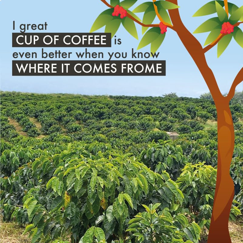 Drupalia Town Ground Colombian Supremo Coffee, Medium Roast