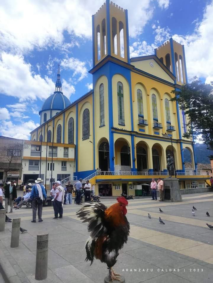 Drupalia Town Ground Colombian Supremo Coffee, Medium Roast