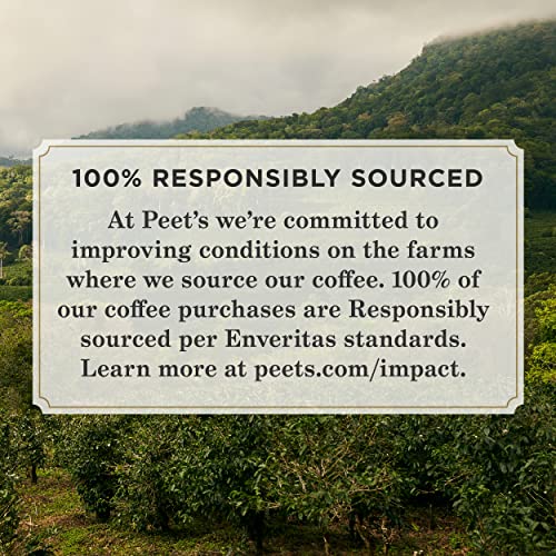 Peet's Coffee Flavored K-Cup Pods, Caramel Brûlée (22 Count) Single Serve Pods Compatible with Keurig Brewers