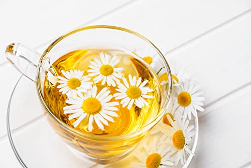 Cozy Up | Pure Camomile Herbal Tea | Pods Compatible with Keurig K-Cup Brewers | Bedtime/Sleep-well/Nightly Calm/Relaxing Tea | 36-Count