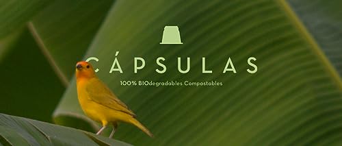 Cafe Quindio Biodegradable Coffee Capsules/Pods 5.5g, Arabic Colombian Roasted Coffee, Single State Coffee, compatibles with ESPRESSO ORIGINAL machines. (Decaf, 10 Pods)