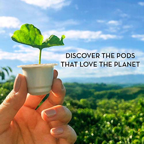 Cafe Quindio Biodegradable Coffee Capsules/Pods 5.5g, Arabic Colombian Roasted Coffee, Single State Coffee, compatibles with ESPRESSO ORIGINAL machines. (Decaf, 10 Pods)