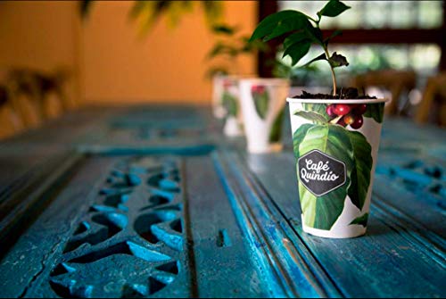 Cafe Quindio Biodegradable Coffee Capsules/Pods 5.5g, Arabic Colombian Roasted Coffee, Single State Coffee, compatibles with ESPRESSO ORIGINAL machines. (Decaf, 10 Pods)