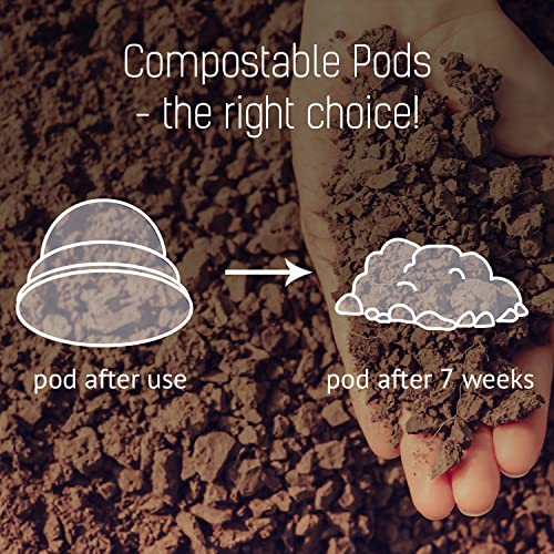 GLORYBREW 72 Compostable Keurig Coffee Pods I Premium Compatible K Cups Coffee I Knight Dark Roast I Coffee Pods for Keurig Brewers I Biodegradable I Rainforest Alliance Certified