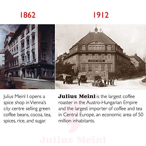 Julius Meinl: "Lungo Classico," 100% Arabica Nespresso Compatible, 100% biodegradable, 10 Capsules, Imported from Vienna
