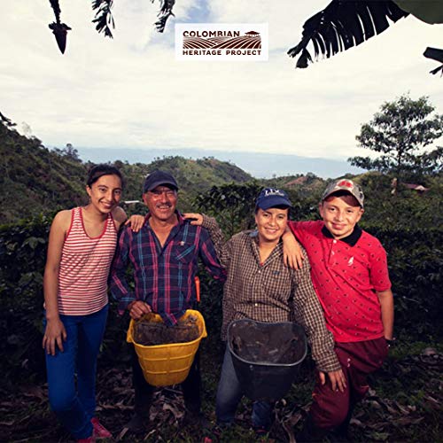 Julius Meinl: "Lungo Classico," 100% Arabica Nespresso Compatible, 100% biodegradable, 10 Capsules, Imported from Vienna