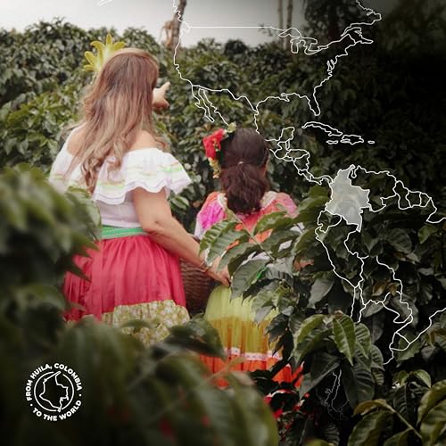 Castillo Medium Roast Columbian Coffee Beans 12oz