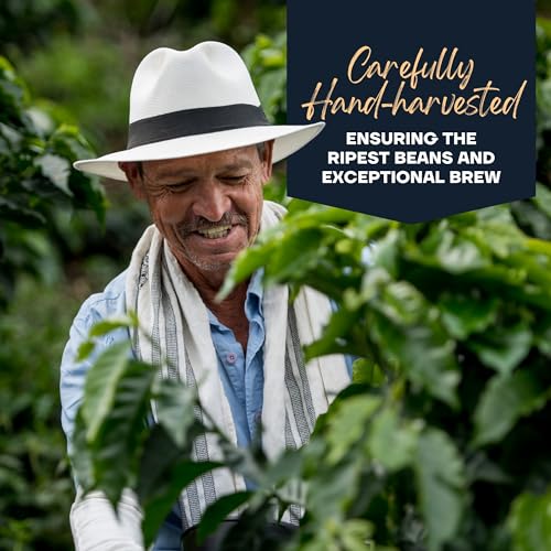 Small Batch Colombian Medium Roast Coffee | Single-Origin Arabica