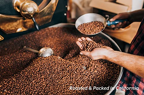 Cozy Up | 76-Count | Single Origin Colombia Coffee | Medium Roast Single-Serve Coffee Pods Compatible with Keurig K-Cup Brewers