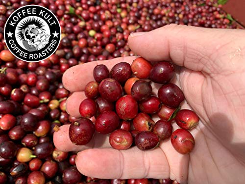 Koffee Kult Colombian Medium Roast Coffee Beans Whole Bean