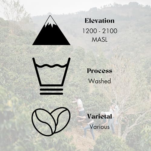 Decadent Sweet & Citrusy Decaf Colombian Coffee Blend