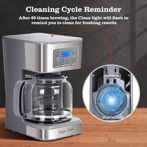 Taylor Swoden 12-Cup Programmable Coffee Maker, Regular & Strong Brew Drip Coffee Machine for Home and Office, Glass Carafe, Pause & Serve, Auto Shut Off, Gray & Stainless Steel