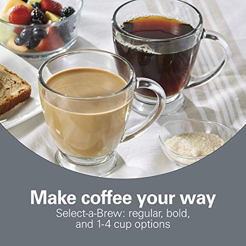 Hamilton Beach 12 Cup Programmable Front-Fill Drip Coffee Maker with Glass Carafe, Auto Shutoff, 3 Brew Options, Black with Stainless & Chrome Accents (46321)