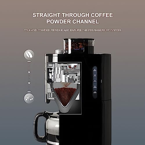 HOMOKUS 12 Cup Drip Coffee Maker with Built-In Burr Coffee Grinder, Programmable Coffee Machine with Timer, Glass Carafe, Reusable Filter, Warming Plate for Home and Office. 1.5L Water Tank