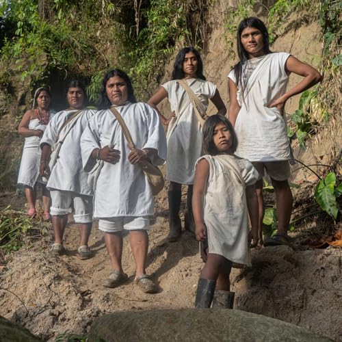 Wild Organic Colombian Coffee - 12 oz (Kogi Sauna Family)