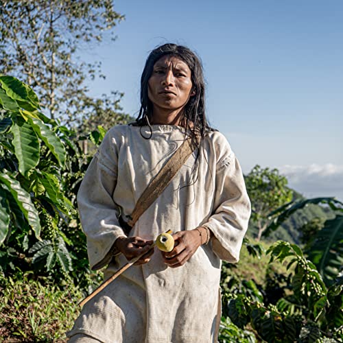 Wild Organic Colombian Coffee - 12 oz (Kogi Sauna Family)