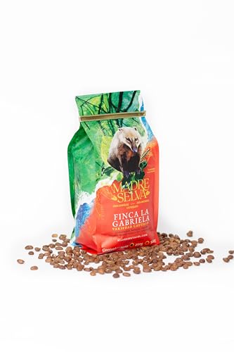 Colombian Castillo Specialty Coffee: Medium Roast Whole Bean