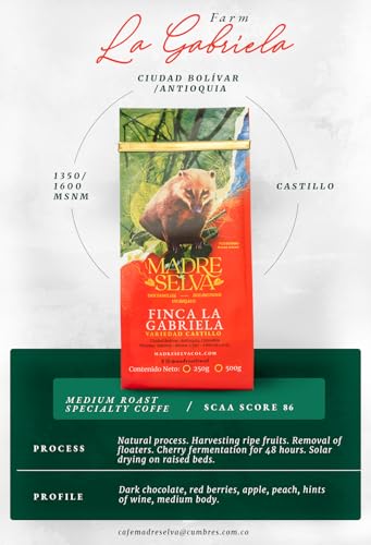 Colombian Castillo Specialty Coffee: Medium Roast Whole Bean