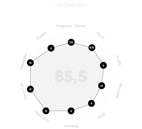 Colombian Castillo Specialty Coffee: Medium Roast Whole Bean