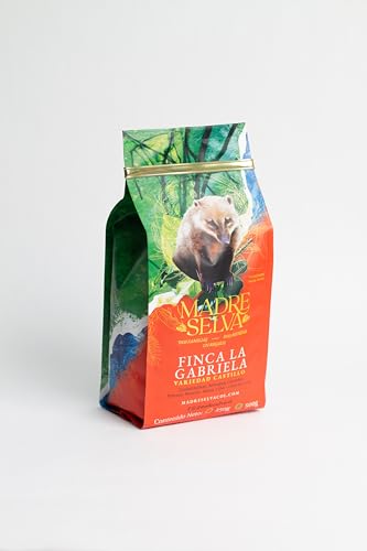 Colombian Castillo Specialty Coffee: Medium Roast Whole Bean