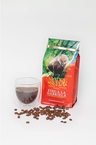 Colombian Castillo Specialty Coffee: Medium Roast Whole Bean