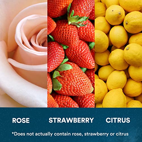 OVALWARE 02 Venus - Organic Arabica Light Roast