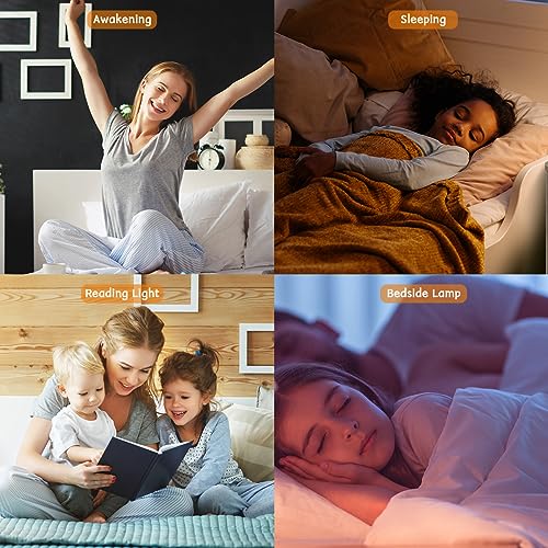 White Noise Machine Alarm Clock with Sunrise Simulation