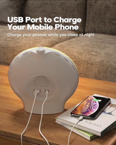 Sunrise Alarm Clock with Light, Sounds and Night Light