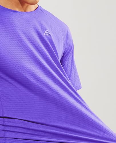 Haimont Men's Purple Crewneck Tee for Pickleball