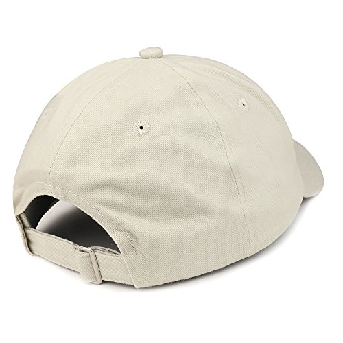Embroidered Cotton Dad Hat for Pickleball Players