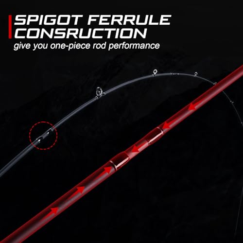 Goture Travel Fishing Rod, 4 Piece Pole with Case