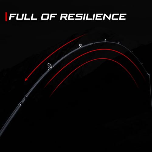 Goture Travel Fishing Rod, 4 Piece Pole with Case