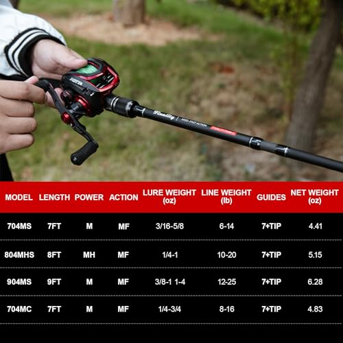 Goture Travel Fishing Rod, 4 Piece Pole with Case