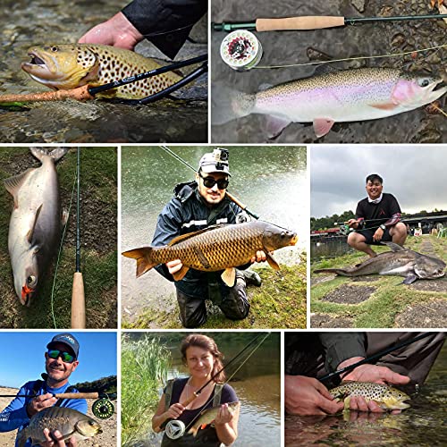 Extreme Graphite Fly Fishing Rod 9ft 4-Piece